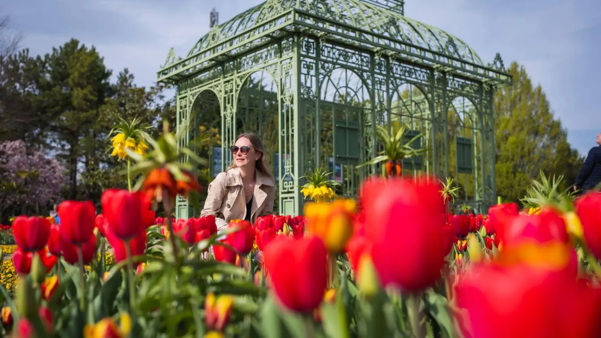 (c) Stadt Wien/David Bohmann, Wiener Stadtgärten
